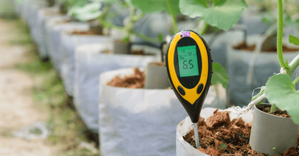 Technology into Your Hydroponic System
