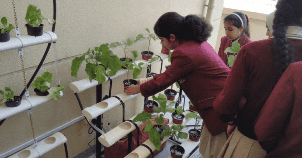 Hydroponic gardening for schools and educational institutions