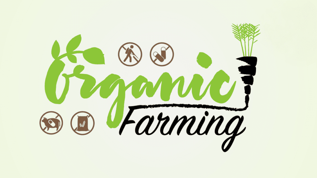 organic farming in rajasthan