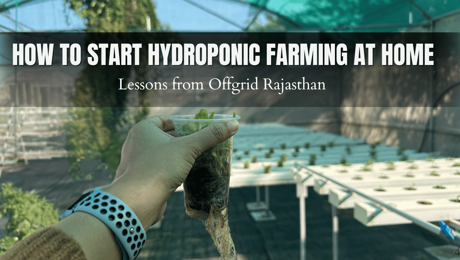 How to Start Hydroponic Farming at Home: Lessons from Offgrid Rajasthan
