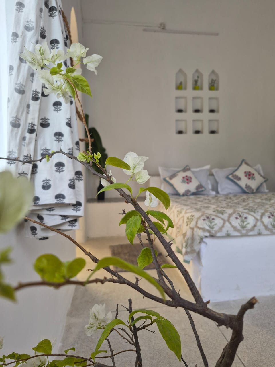 WhatsApp Image 2025-11-05 at 1.03.25 PM (1)