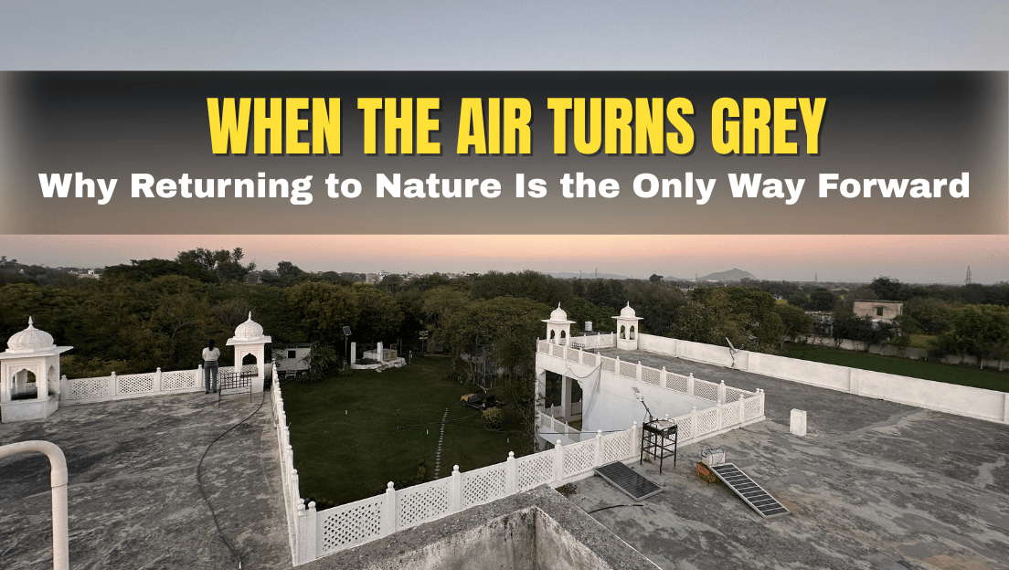 When the Air Turns Grey: Why Returning to Nature Is the Only Way Forward
