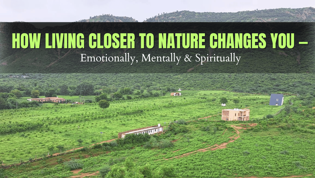 How Living Closer to Nature Changes You — Emotionally, Mentally & Spiritually