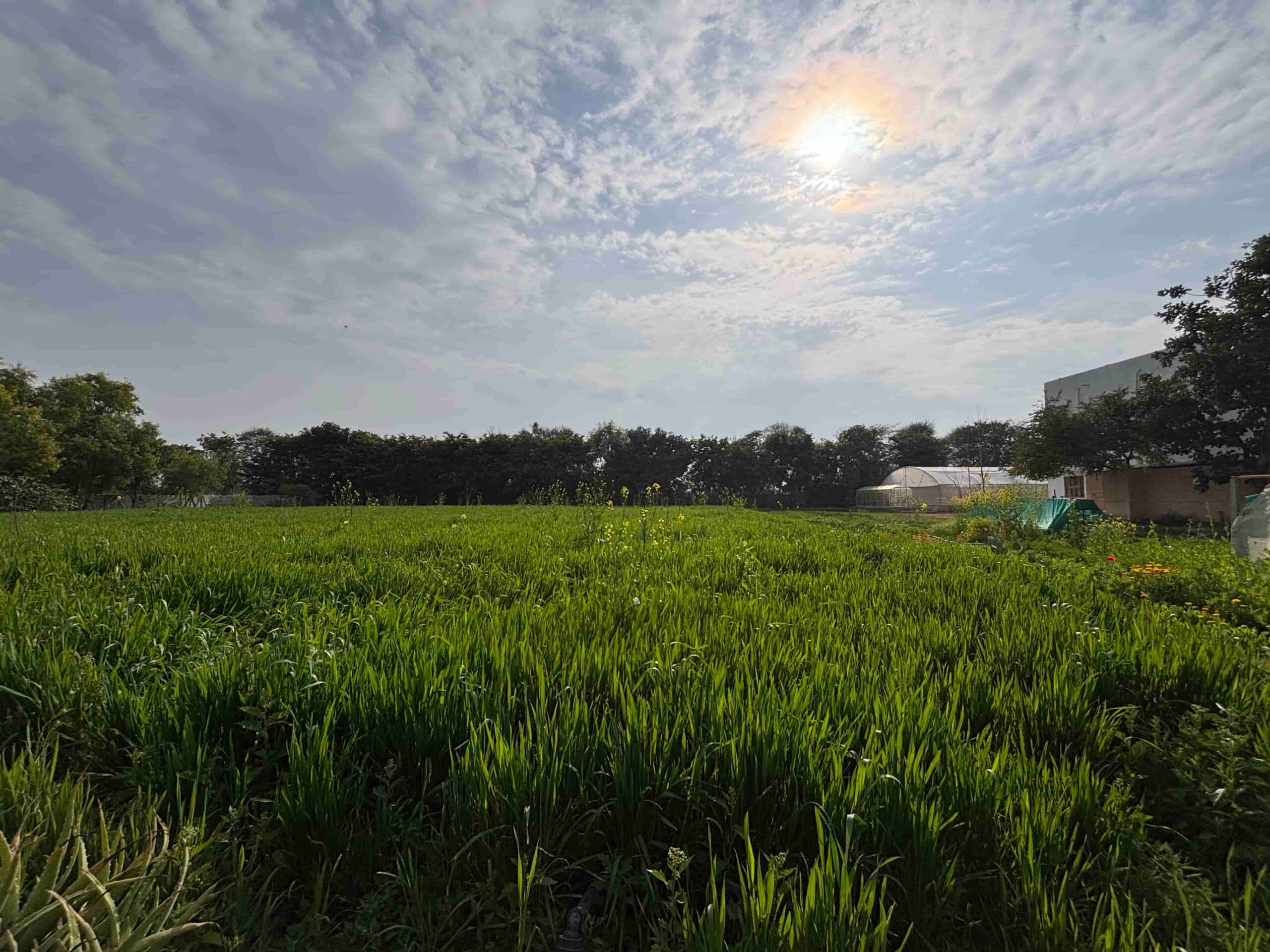 Farm Stay